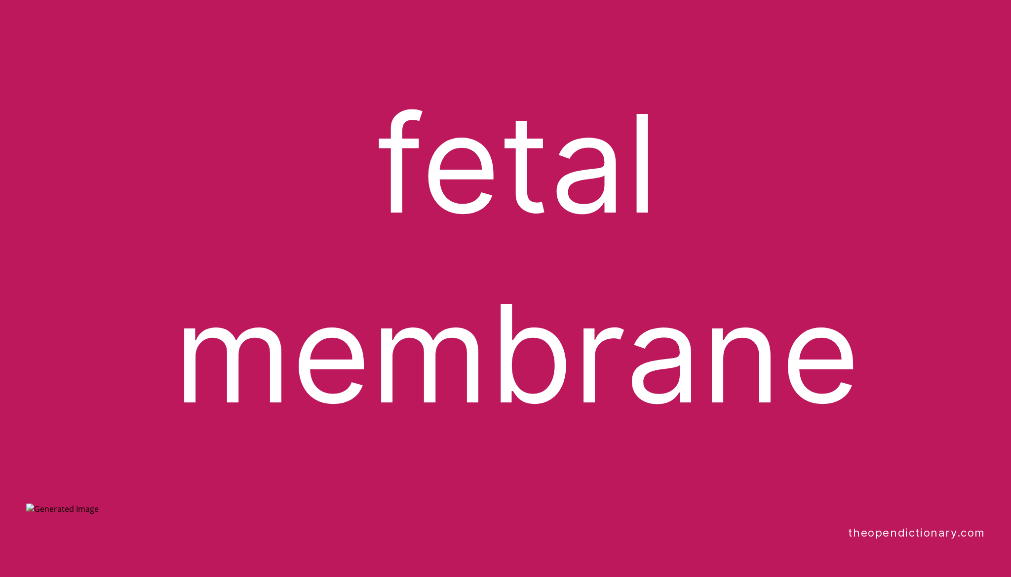 Fetal membrane Meaning of Fetal membrane Definition of Fetal